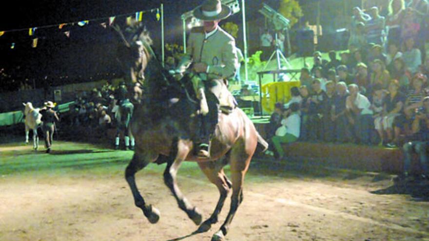 Pino Santo celebra la fiesta de la Salud  al trote de cien caballos de pura raza