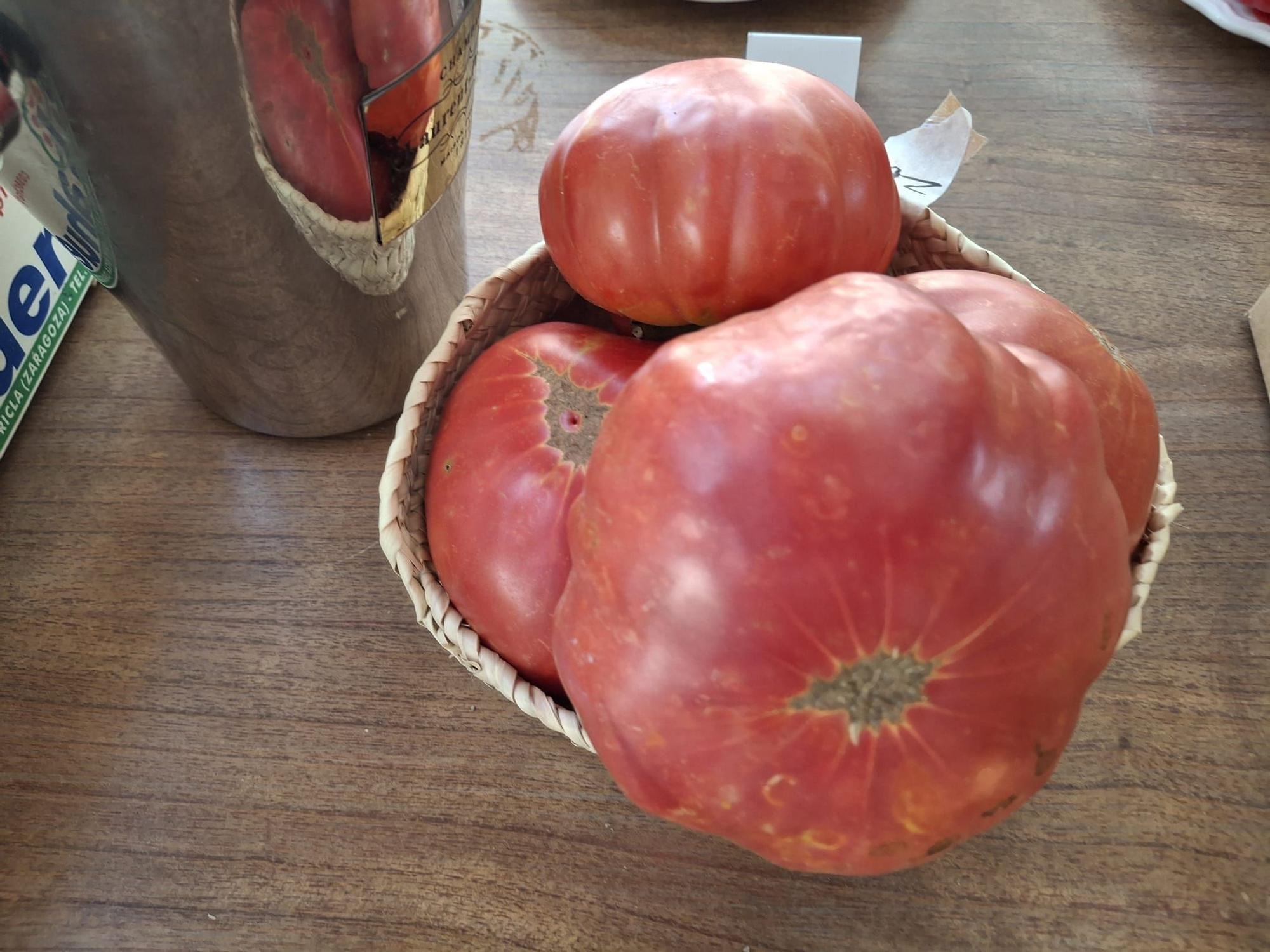 Las imágenes del concurso de la Millor Tomaca de la Marina de Els Magazinos de Dénia: huerta sin fronteras