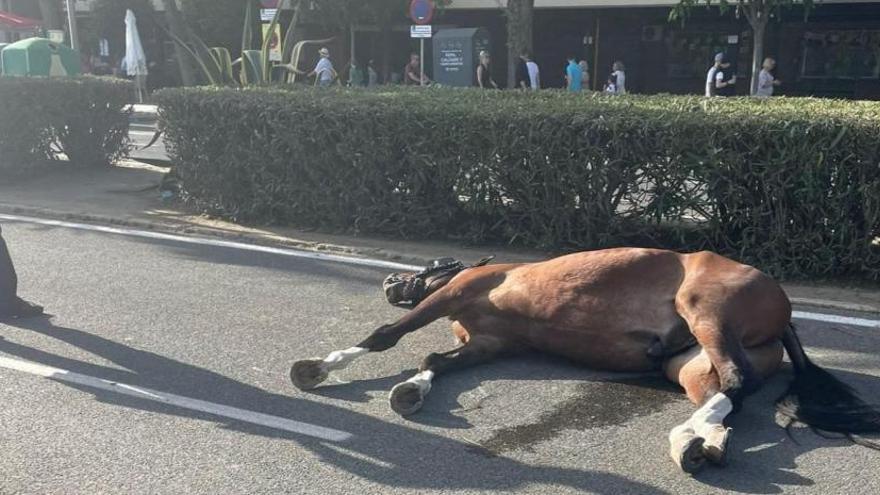 Mor un cavall a la Feria de Abril de Sevilla per &quot;calor i sobreesforç&quot;