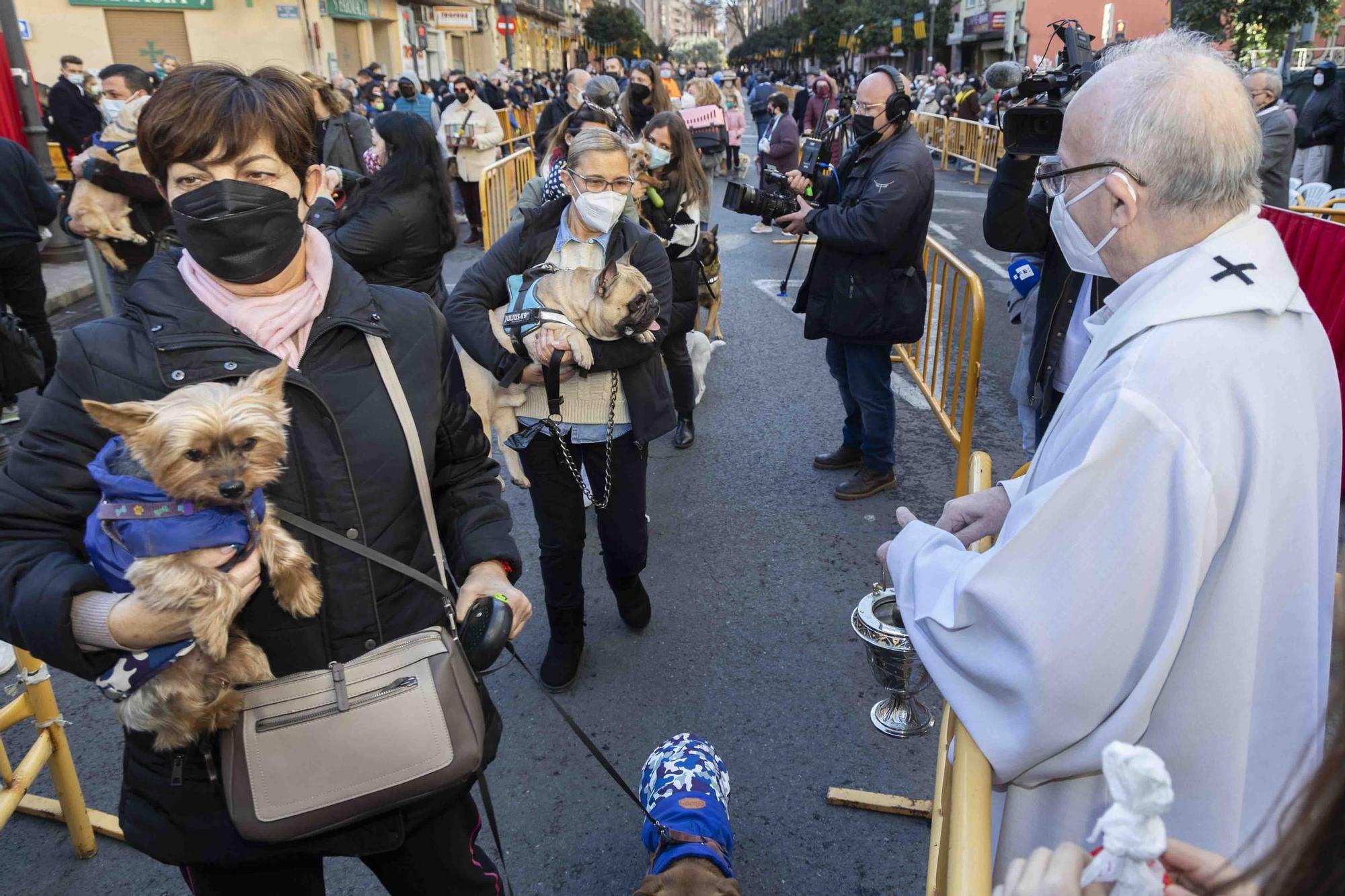 Búscate en la bendición de animales de Sant Antoni