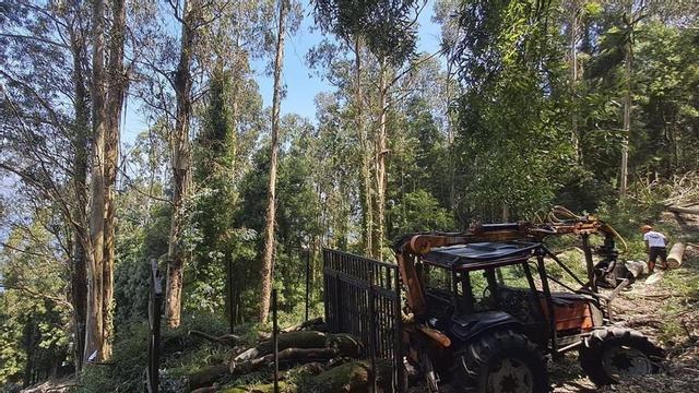 Trabajo en una de las zonas de una de las franjas secundarias de Redondela. | D.P.