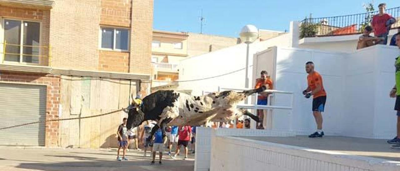 Los recortadores valencianos suman triunfos