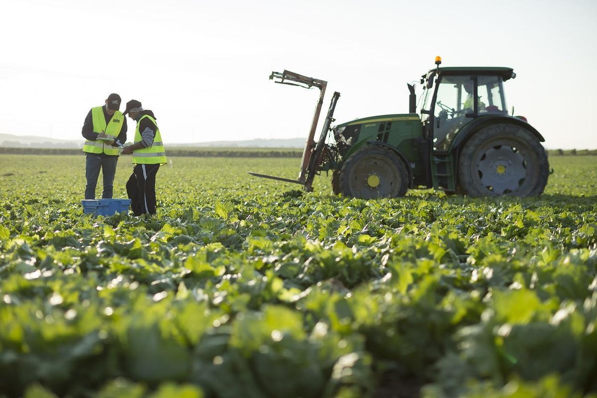 El uso de pesticidas sigue sin restringirse adecuadamente en la UE