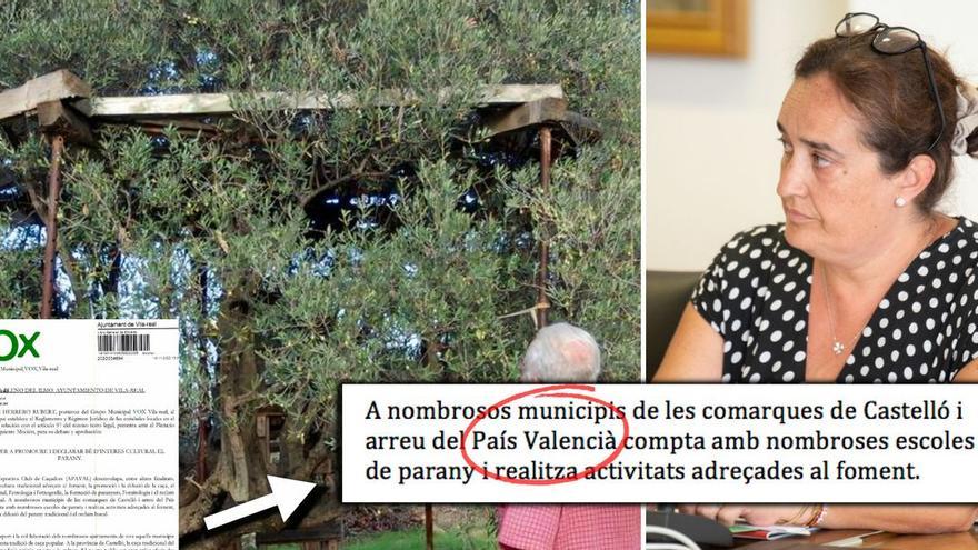 La concejala de Vox en Vila-real ha retirado finalmente la moción en la que se mencionaba el topónimo País Valencià.