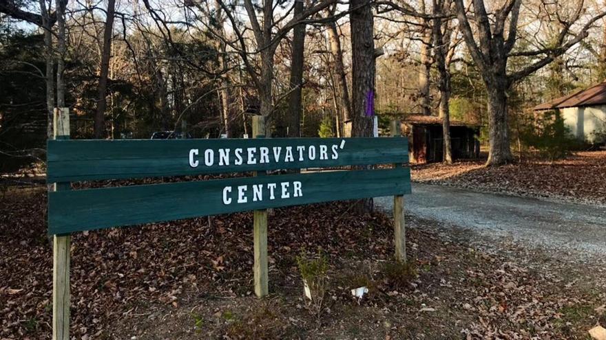 Un león mata a una cuidadora en un zoo de Estados Unidos