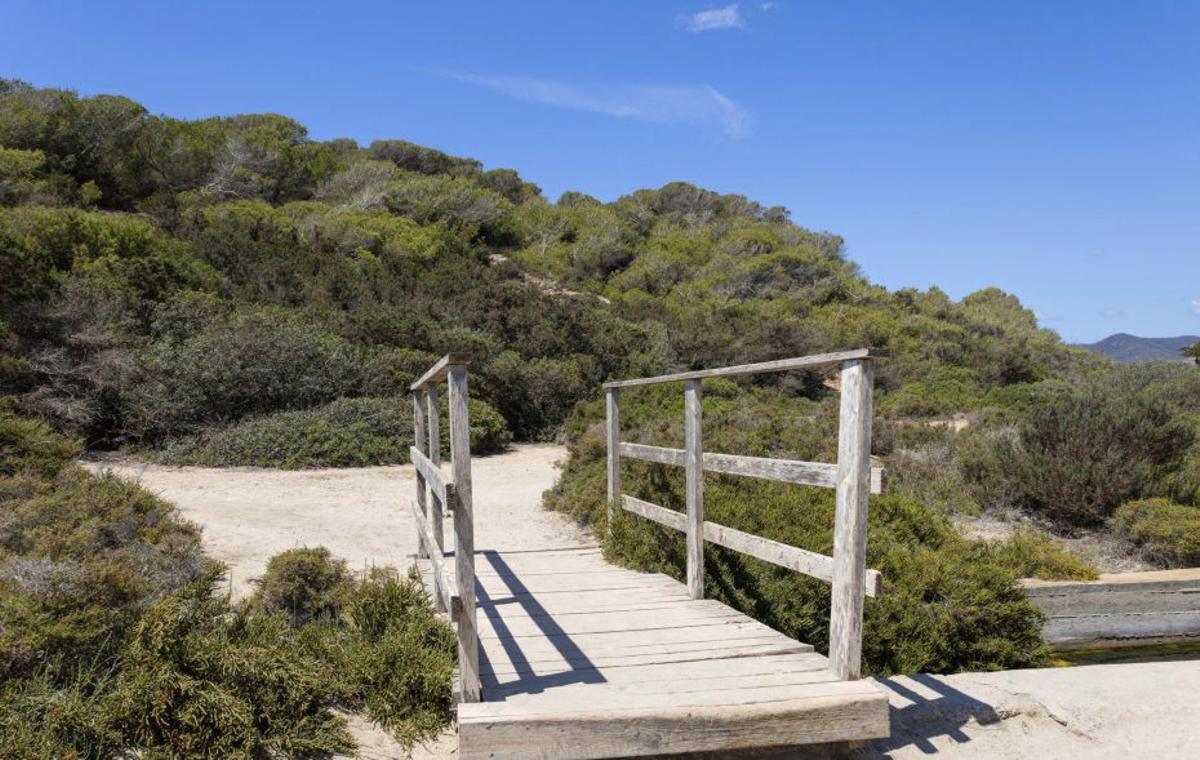 Pequeño puente de madera que atraviesa un canal en Platja d’en Bossa. | ISABEL NIEVA