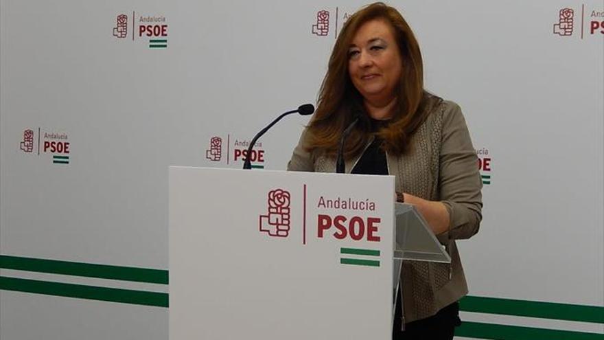 El PSOE pide ayuda para los hijos de víctimas de machismo