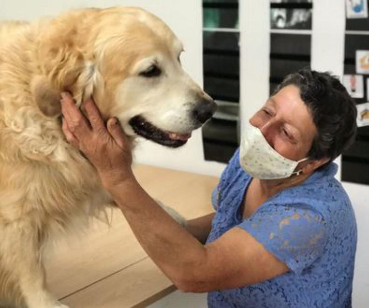 Un momento de la terapia.