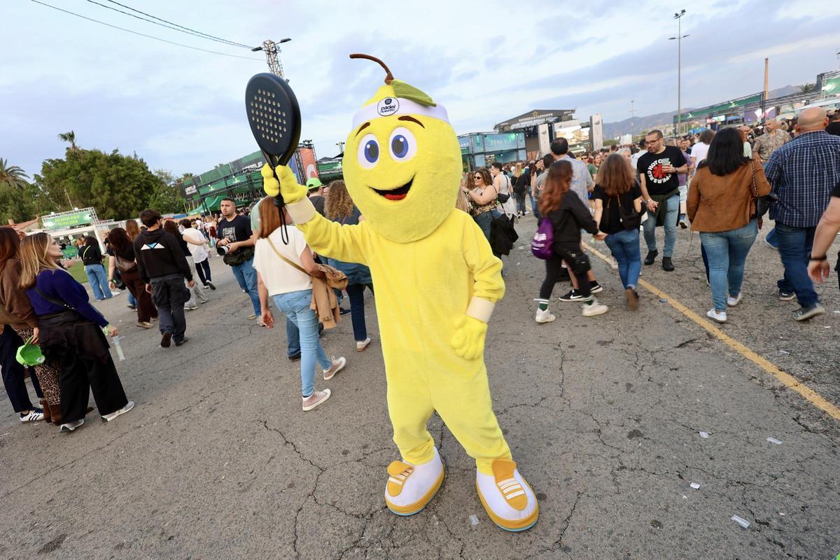 Willy, mascota de Pádel Nuestro