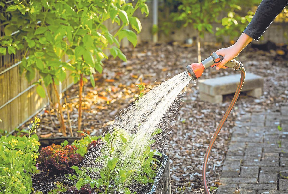 La clau passa també per escollir elements de vegetació que no comprometin ni necessitin molta atenció.
