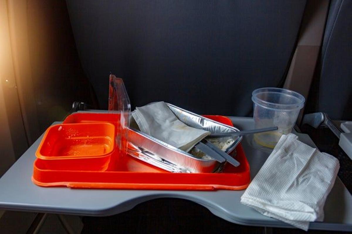 Bandeja de avión