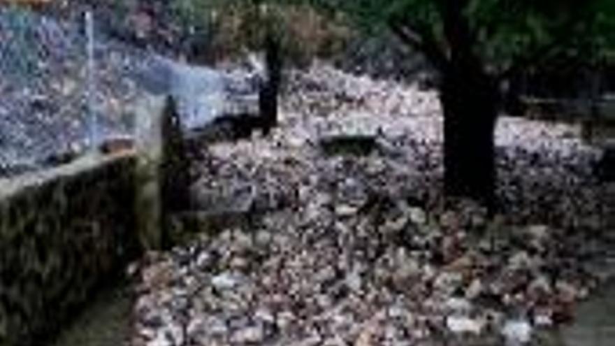 Una tromba de agua causa daños en un paraje de Cañamero