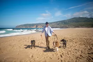 Esto es lo que suelen hacer los perros cuando están solos en casa