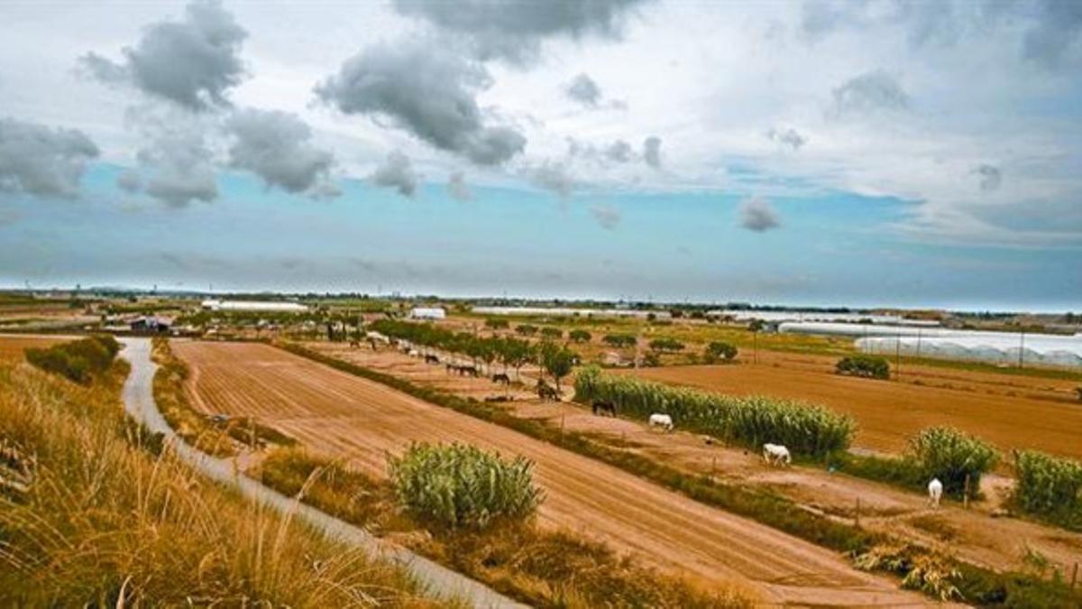 Terrenos dedicados al cultivo y al cuidado de caballos en Viladecans.