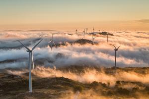 Un parque de energía eólica. 