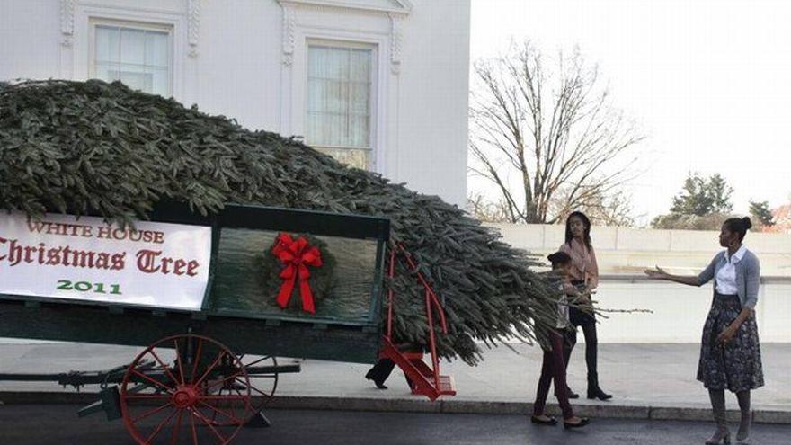 Michelle Obama, sus hijas y su perro reciben el árbol de Navidad presidencial