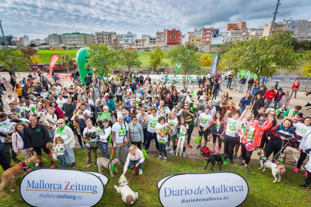 Can We Run Mallorca: So war das Hunderennen