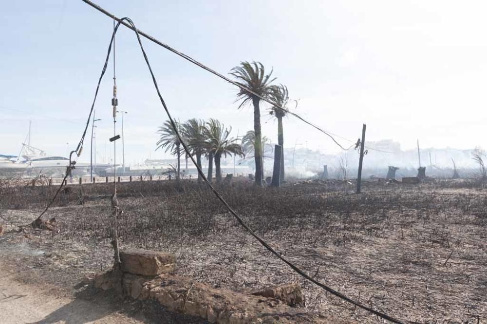 El fuego comenzó entre el cinturón de ronda y la rotonda del colegio Joan XXIII