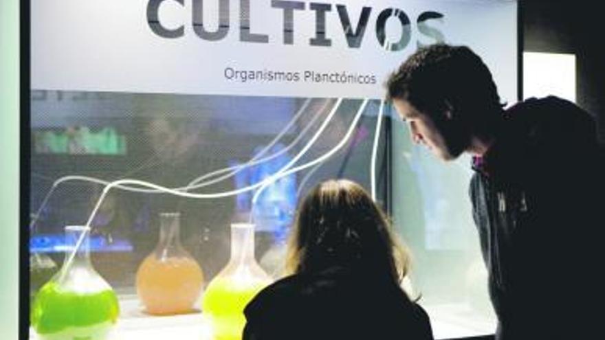 Éxito de visitas en la exposición del «Acuario oculto»