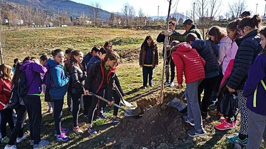 Alumnes de la Seu participant en les accions del Dia de l&#039;Arbre