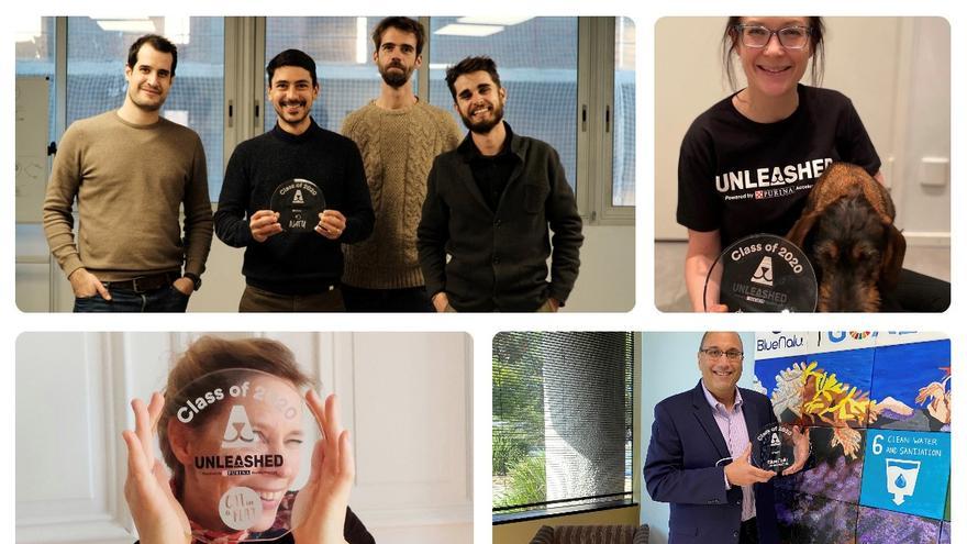 Ganadores de la edición de Unleashed de 2020.