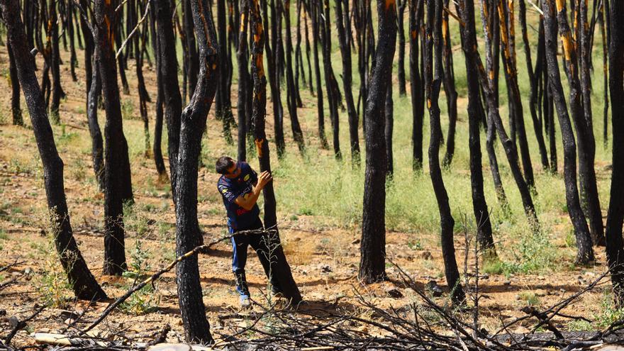 Un año del incendio de Ateca: &quot;Ahora estoy volviendo a soñar y a masticar humo&quot;