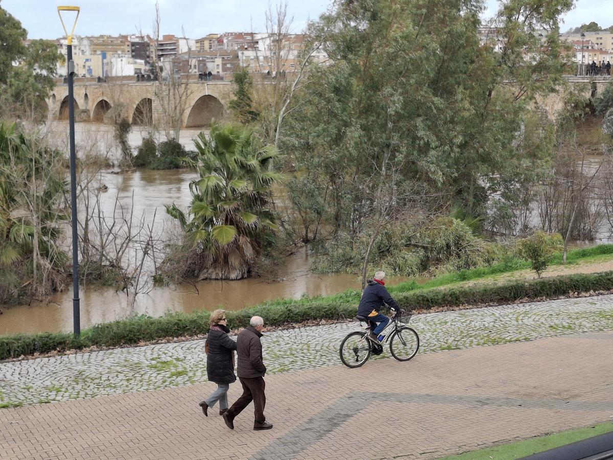 Fotogalería | El buen tiempo devuelve a los pacenses al río