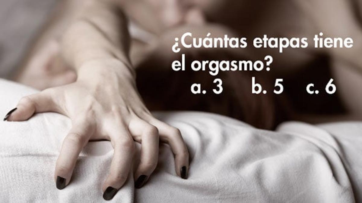 Las etapas del orgasmo