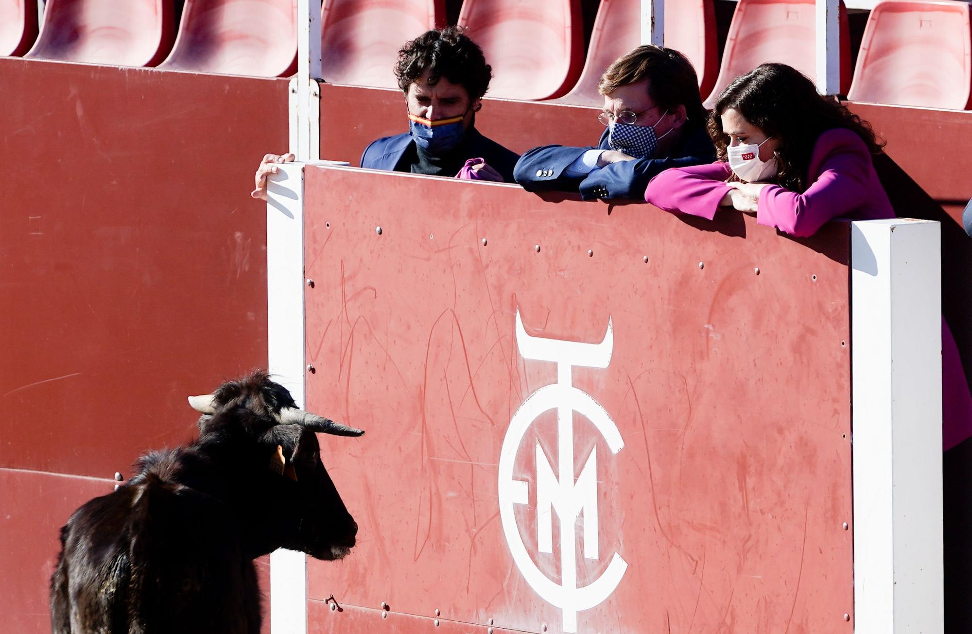 Almeida y Ayuso en plaza de toros