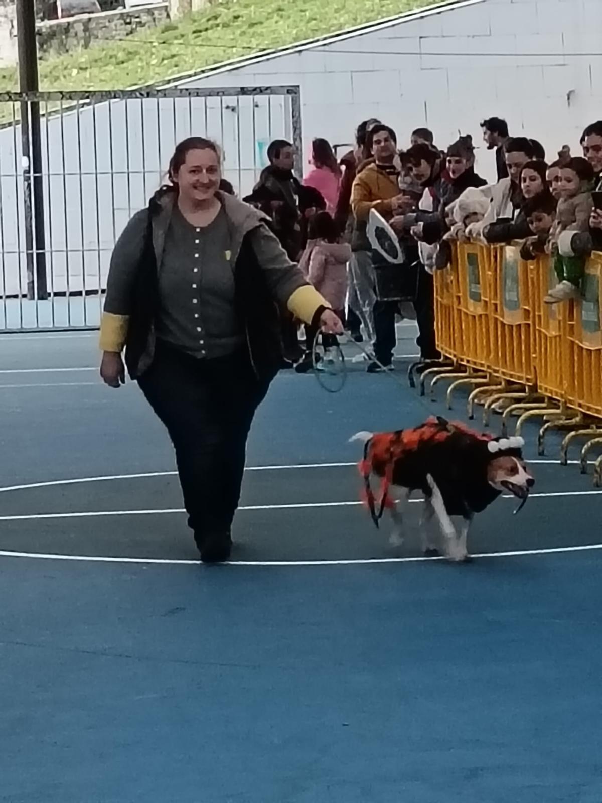 El desfile de mascotas de Grado, en imágenes