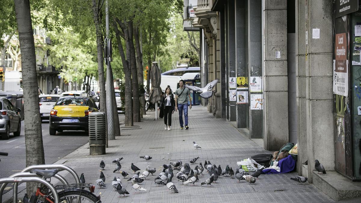 Escasa vida callejera en Sardenya con Casp, el pasado viernes por la tarde