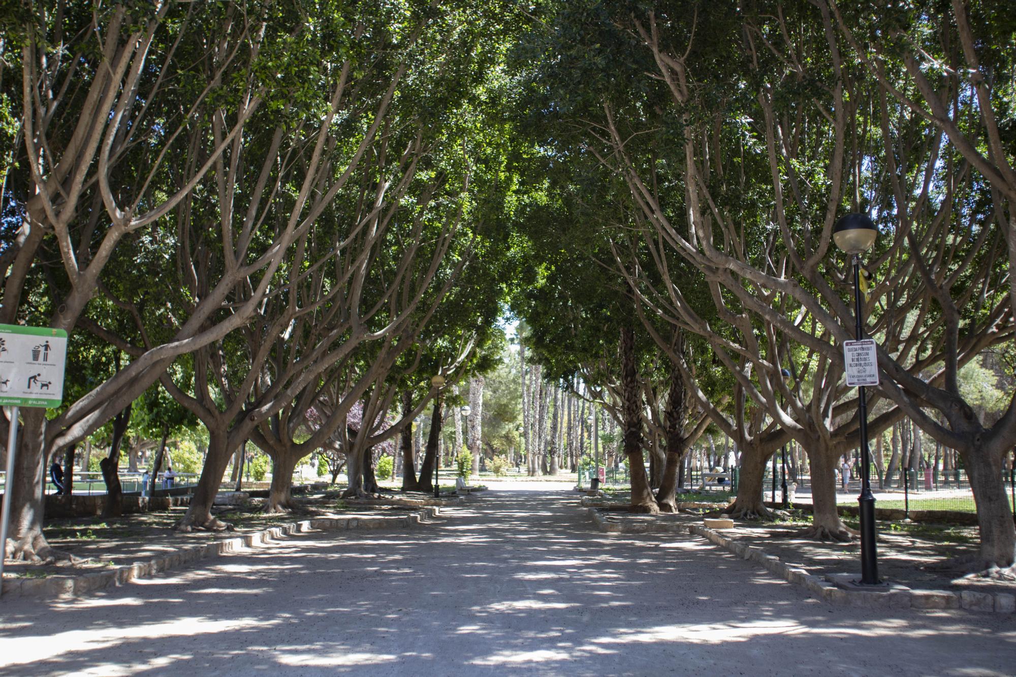 El parque de l'Alquenència, el pulmón verde urbano.jpg