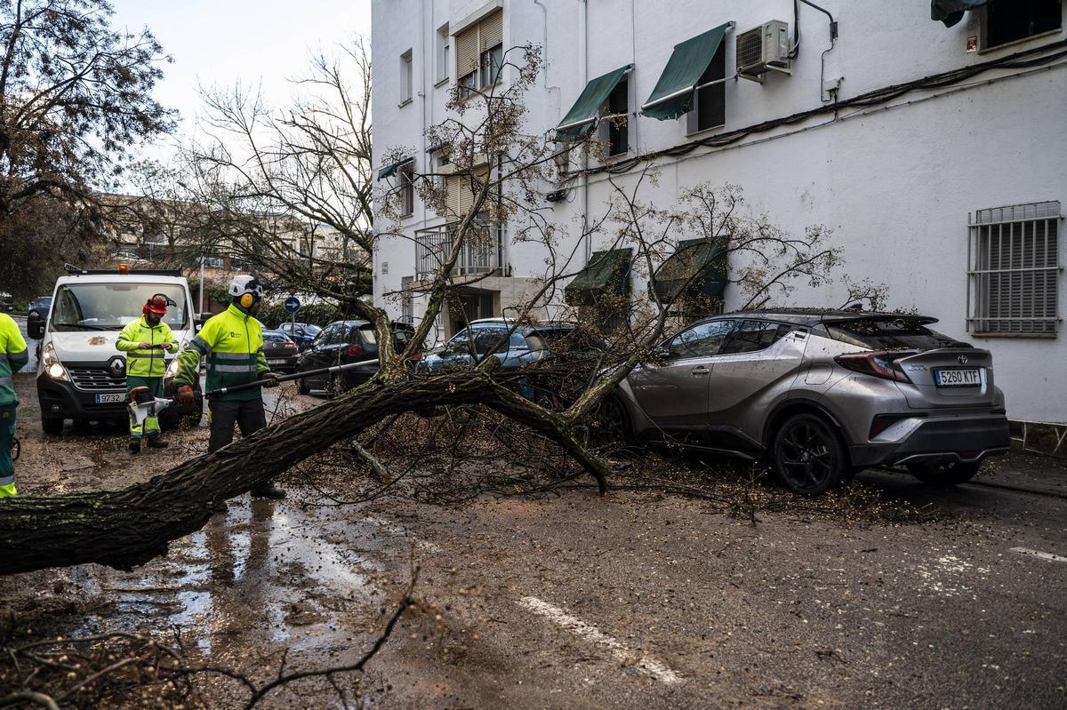 Fotogalería | El temporal en imágenes en Cáceres