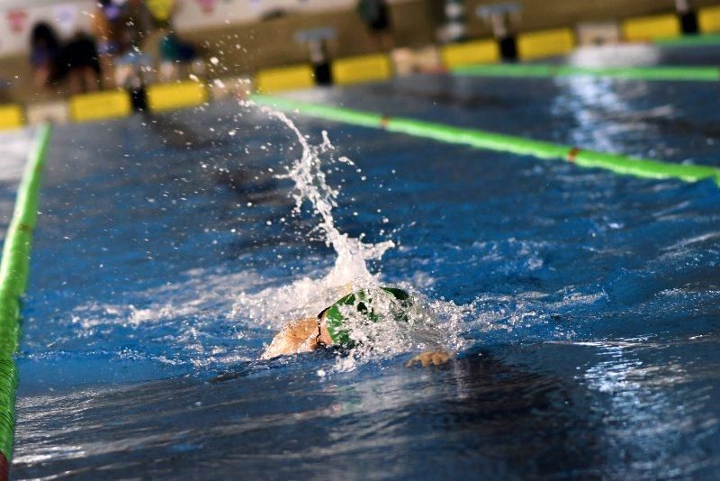 Trofeo Ciudad de Zaragoza de Natación