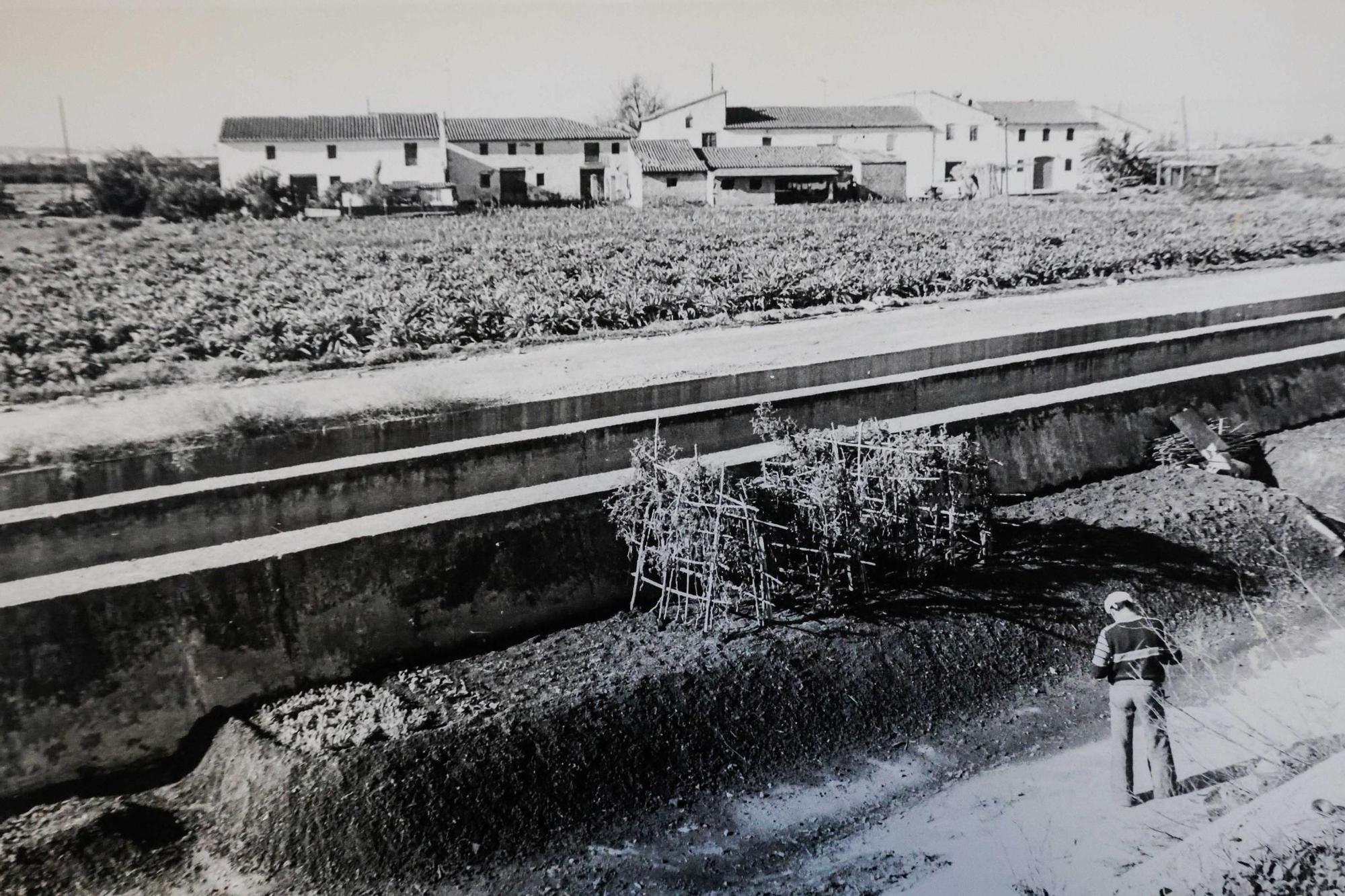 La Valencia desaparecida: Todo esto antes era huerta