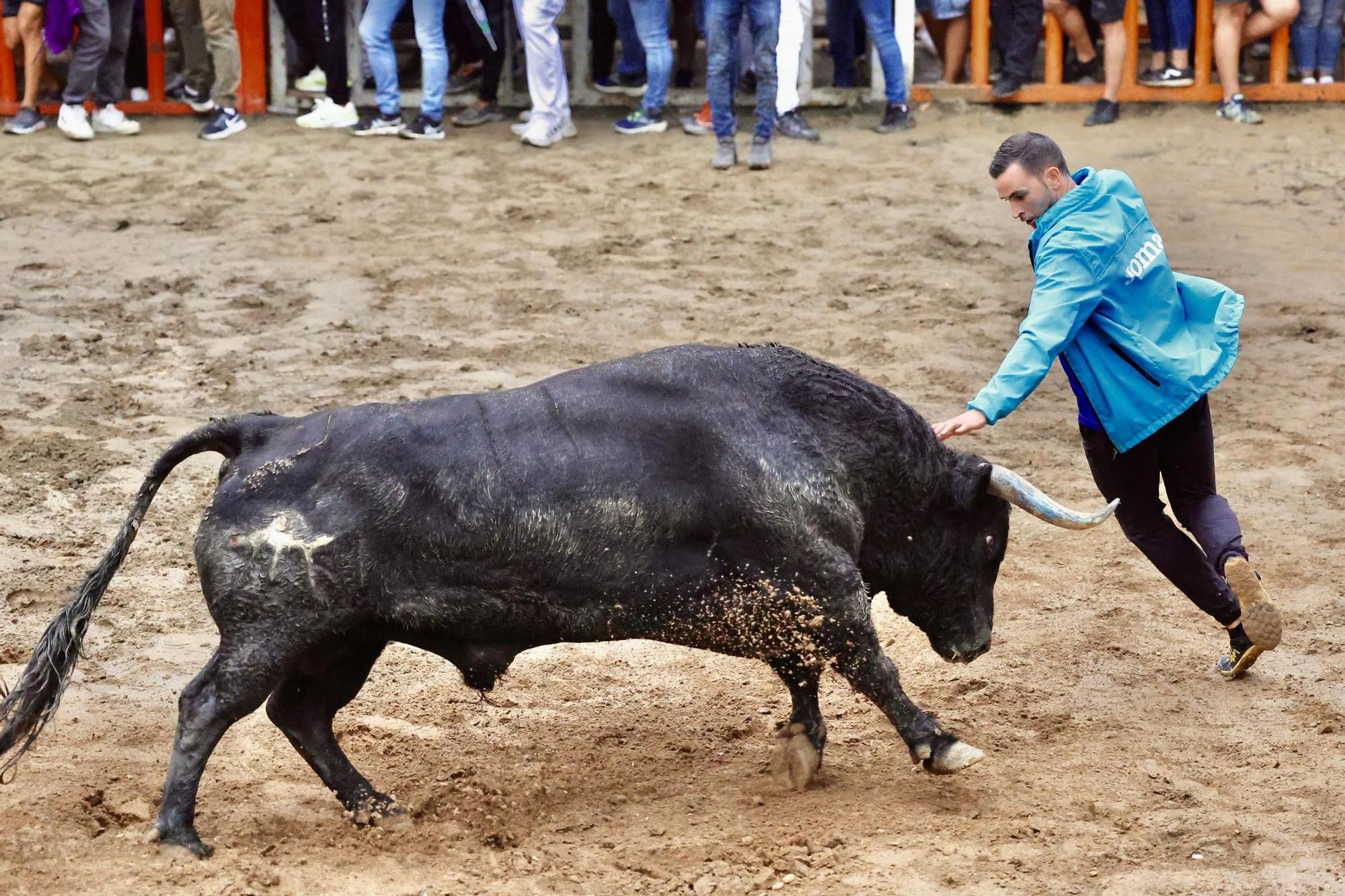 Galería de fotos de la penúltima tarde de toros de las fiestas del Roser en Almassora