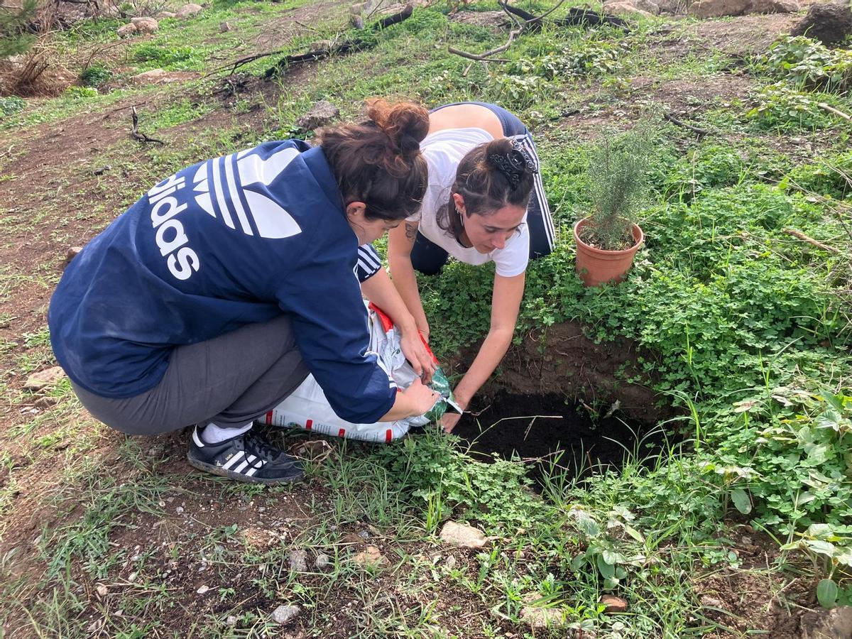 Voluntarios de la plataforma Bosque Urbano Málaga plantan 60 árbolesen los antiguos terrenos de Repsol