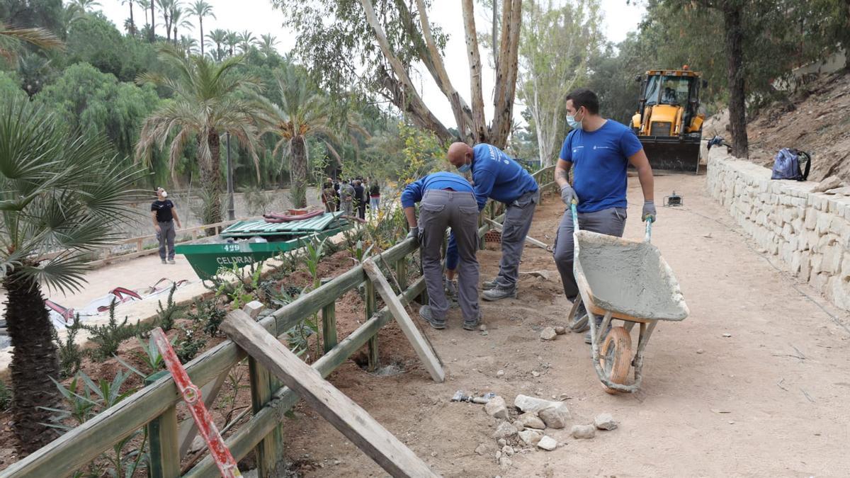 Alumnos de los programas de empleo realizando labores de jardinería en la ladera del río Vinalopó