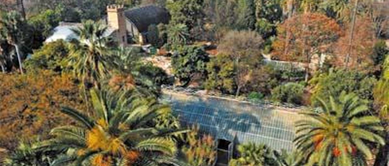 Panorámica del Jardín Botánico con la zona de cultivo de los cítricos.