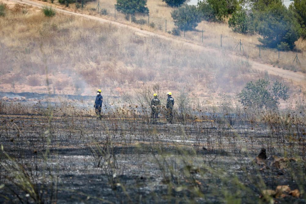 Declarado un incendio junto al Monasterio de la Real de Palma