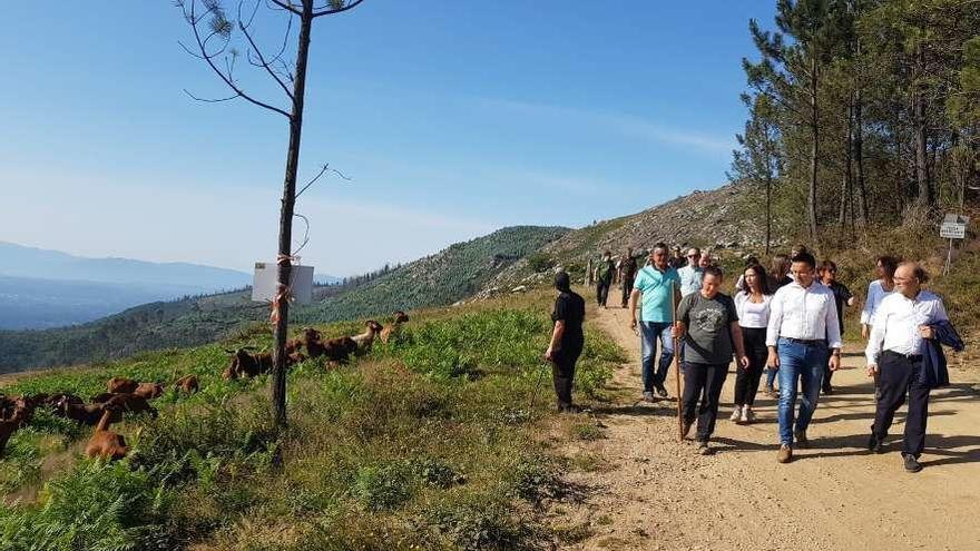 El proyecto en el Galleiro incluye dos pastizales cerrados para cabras y vacas cachenas. // D.P.