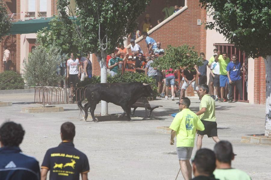 Fiestas en Zamora: Segudos espantes de Fuentesaúco