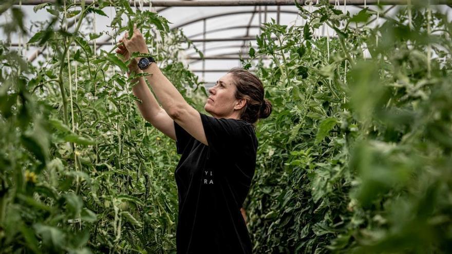 Maca de Castro: «Cada vez cuesta más enamorarse del oficio»