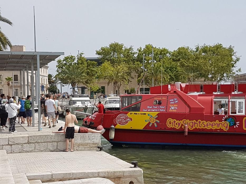 Un turista borracho se desploma en el Moll Vell a plena luz del día