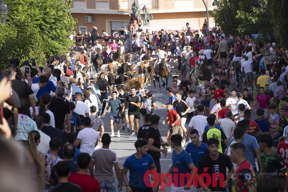Quinto encierro de las Fiestas de Moratalla