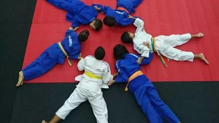 a pleno rendimiento. El Judo Club Koi Castelló cuenta con 30 alumnos.Un grupo de alumnos en las nuevas instalaciones de la entidad. Detalle de uno de los tatamis que serán firmados por sus padrinos el próximo 7 de octubre.