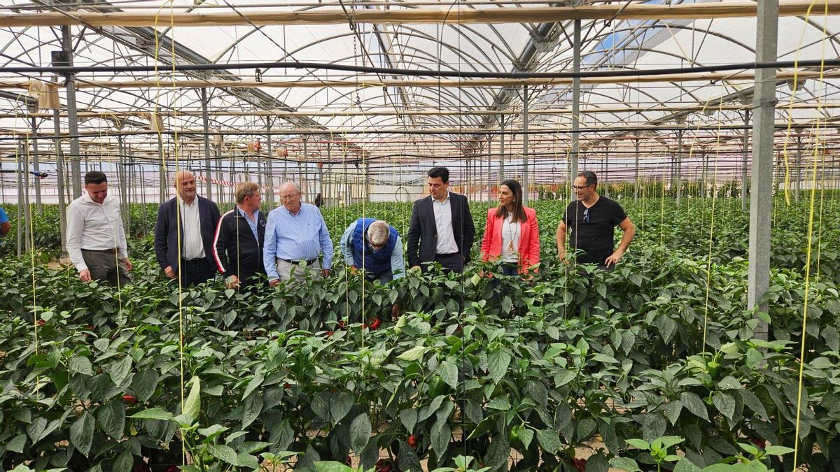 La jornada ha comenzado con una visita a la finca de ensayo de Lobosillo.