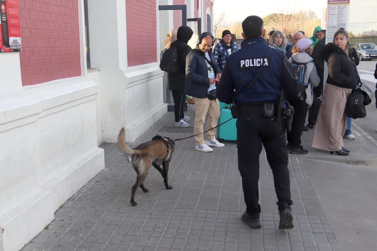 L'agent canina Eris amb el guia caní de la Policia Local de Blanes fent un control a l'estació de tren