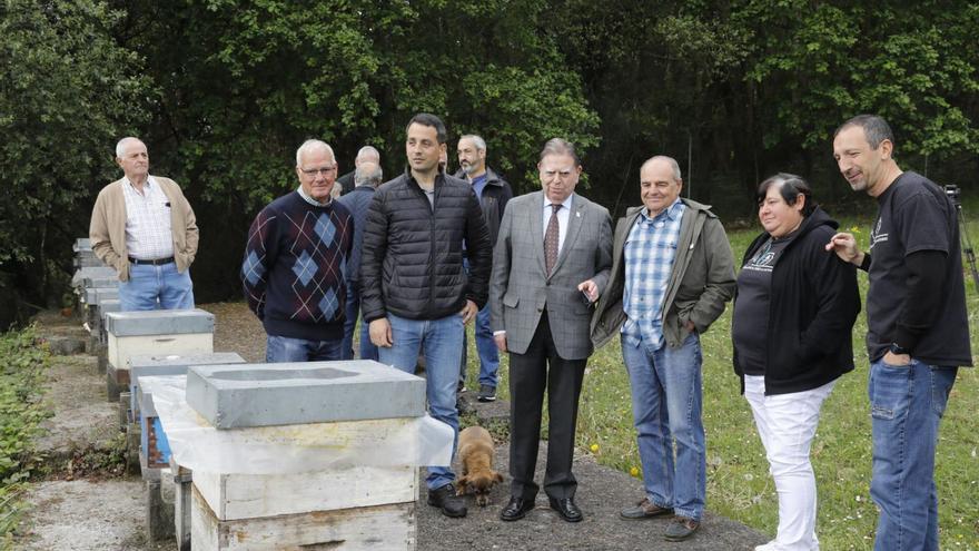 Por la izquierda, Delfín Rodríguez, José Manuel Estrada, Carlos Barredo, Javier Abraira (detrás), Alfredo Canteli, Belarmino Álvarez, Ondina Fernández y Wenceslao Fernández, ayer, en el apiario de Cuyences. | Fernando Rodríguez