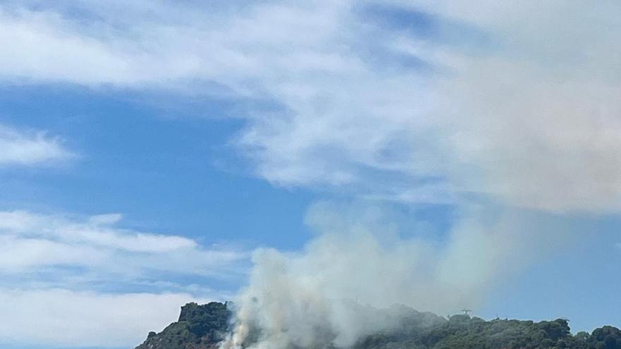 Un incendi a Montjuïc provoca una gran columna de fum visible des de diferents punts de Barcelona